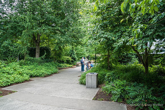 Views Entering, Within And Leaving Freeway Park