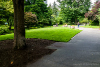 Views Entering, Within And Leaving Freeway Park
