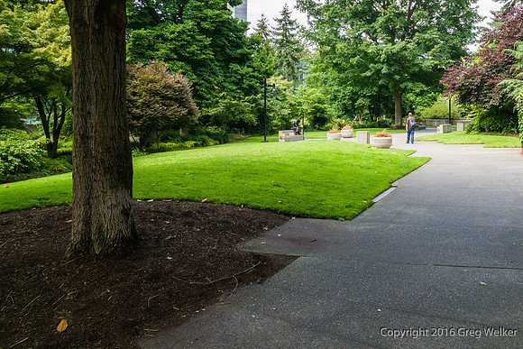 Views Entering, Within And Leaving Freeway Park
