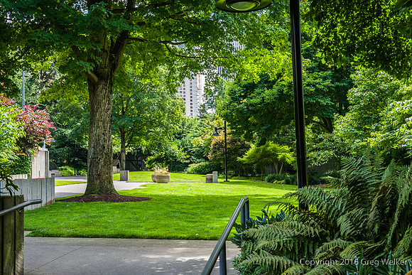 Views Entering, Within And Leaving Freeway Park