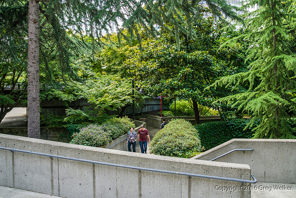 Views Entering, Within And Leaving Freeway Park