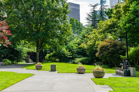Views Entering, Within And Leaving Freeway Park