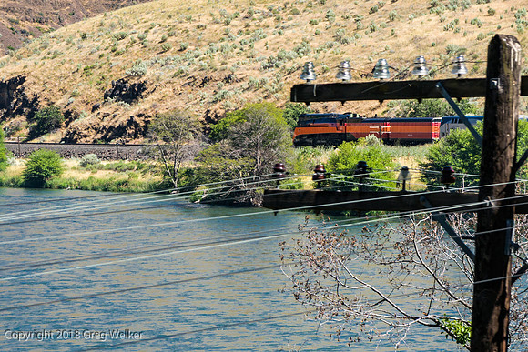 Deschutes River near Beavertail Campground.