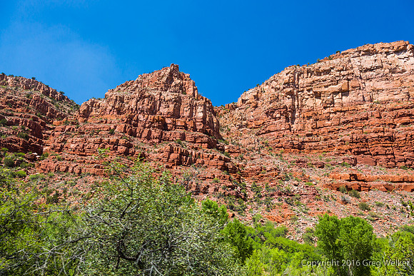 Views From Train As You Travel Through The Canyon