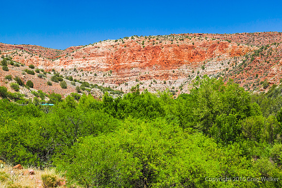 Views From Train As You Travel Through The Canyon