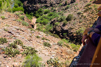 Views From Train As You Travel Through The Canyon