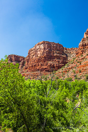 Views From Train As You Travel Through The Canyon
