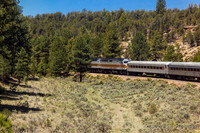 Shots Along The Way To The Canyon