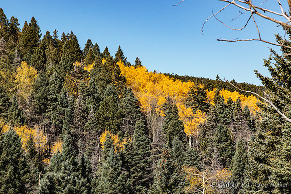 Views Going Downgrade Toward La Veta