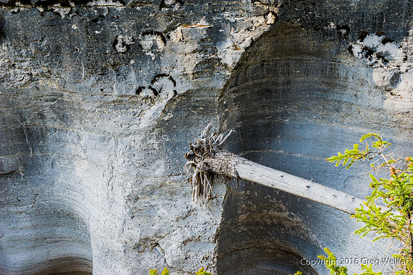 Shots Taken On The Maligne Canyon Hike