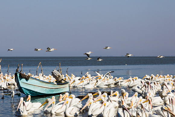 Near Petatan, Michoacán, Mexico
