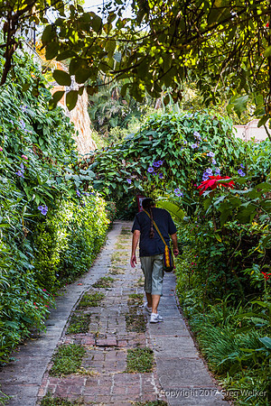 Ajijic, Jalisco, Mexico