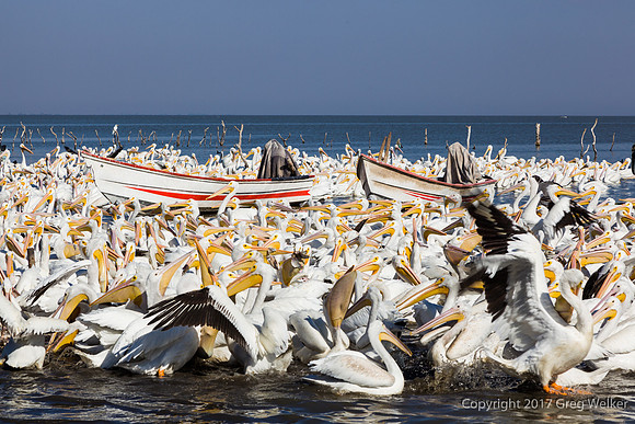 Near Petatan, Michoacán, Mexico