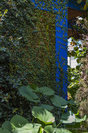 Ajijic, Jalisco, Mexico