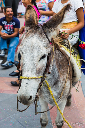 Ajijic, Jalisco, Mexico