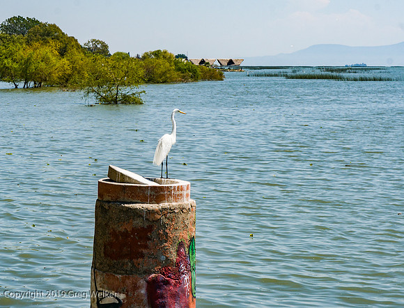 Shots in and around Ajijic and surrounding area.  Lake Chapala.