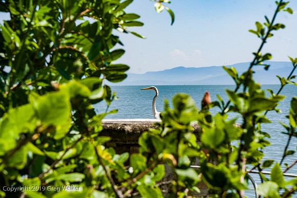 Shots in and around Ajijic and surrounding area.  Lake Chapala.