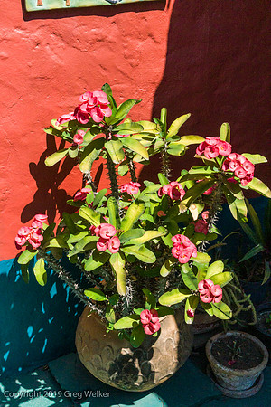 Shots in and around Ajijic and surrounding area.  Gallery and workshop of Jesus Lopez Vega.