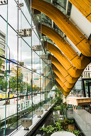 Telus Garden Canopy