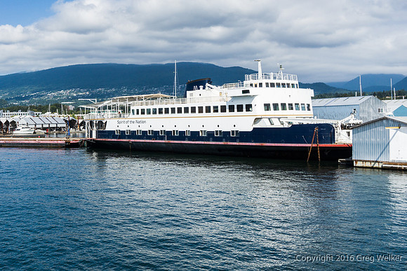 Shots On The Harbour Tour