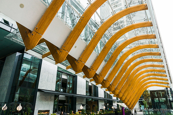 Telus Garden Canopy