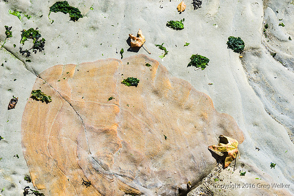 Low Tide Shot From Stanley Park Seawall