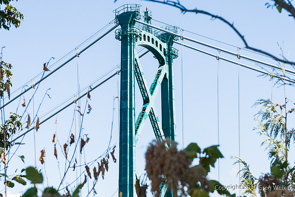 Views From Prospect Point - Lions Gate Bridge