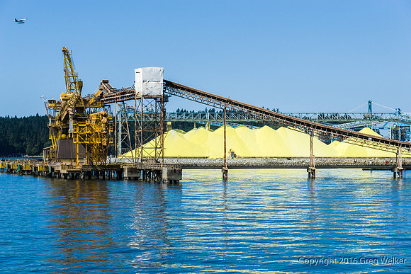 Shots On The Harbour Tour - Sulphur
