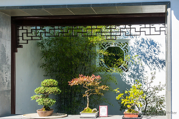 Dr. Sun Yat Sen Classical Garden