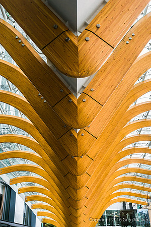 Telus Garden Canopy