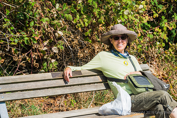 Dana On Seawall Bench