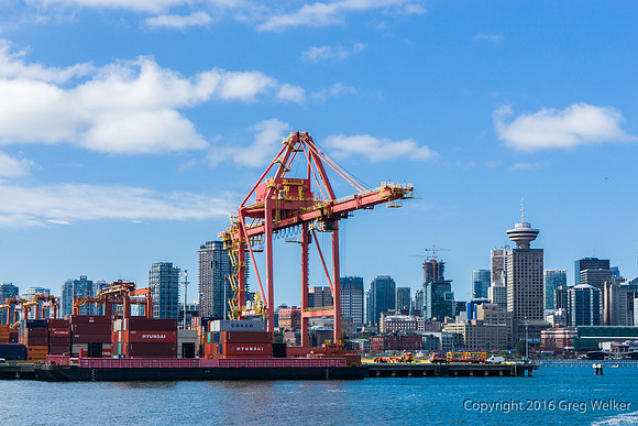 Shots On The Harbour Tour