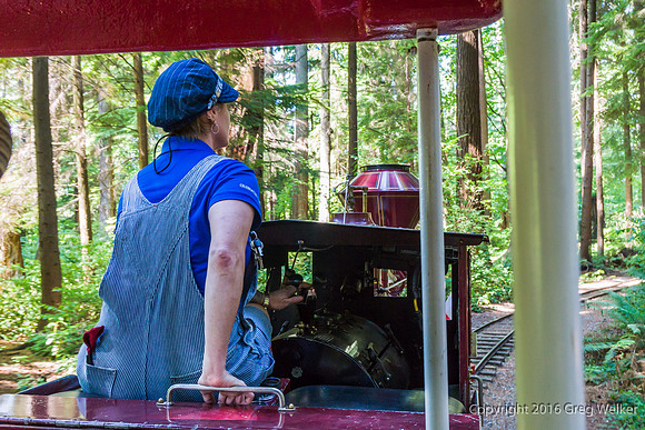 Stanley Park Train
