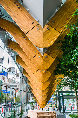 Telus Garden Canopy