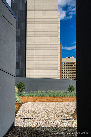 Contrasts