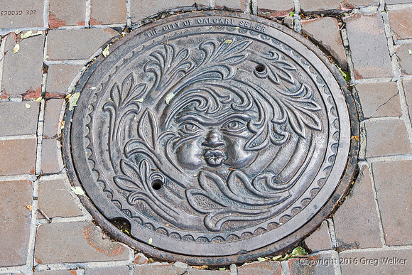 Artistic Sewer Cover