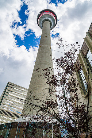 Calgary Tower.