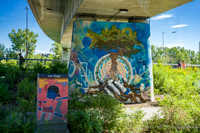 Graffiti.