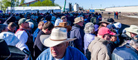 Ceremony Crowd.
