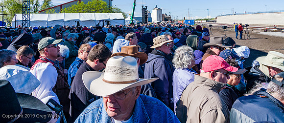 Ceremony Crowd.