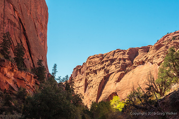 Burr Trail Shots