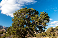 Burr Trail Shots