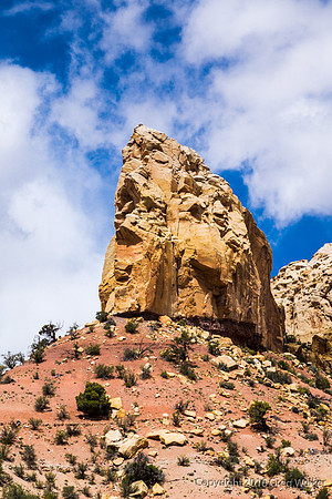 Burr Trail Shots