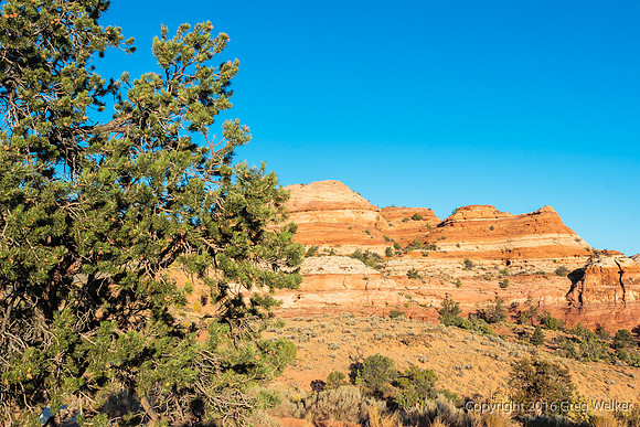 Views Of Escalante River Canyon