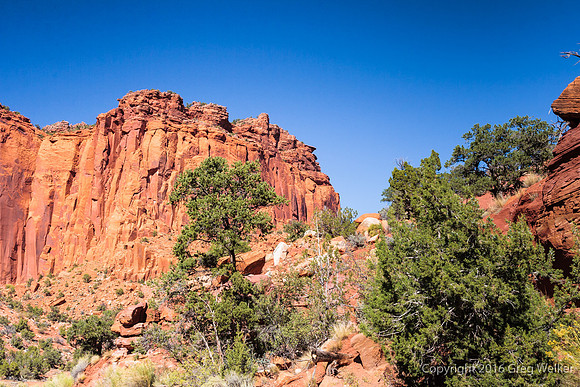 Burr Trail Shots