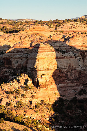 Views Of Escalante River Canyon