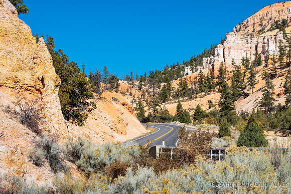 Water Canyon