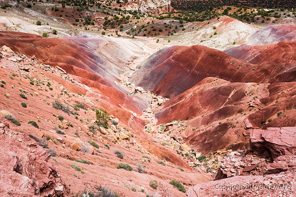 Burr Trail Shots