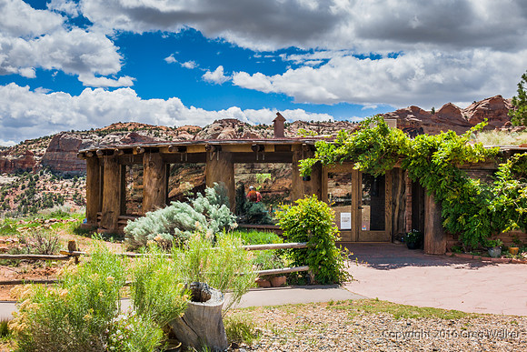 Views Of The Kiva Coffee House