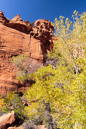 Burr Trail Shots